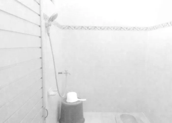Diana 1 ホテル 2*
